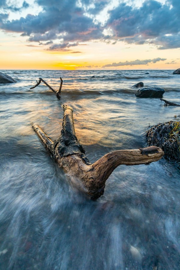 What are the key considerations when choosing a wood-burning stove for a UK living room?